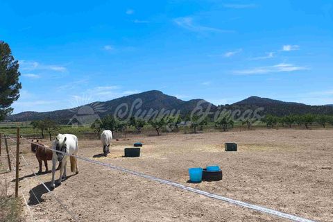 Landejendom i Yecla, Murcia, Yecla - € 219.000 | Ref: SF0531 - foto 21